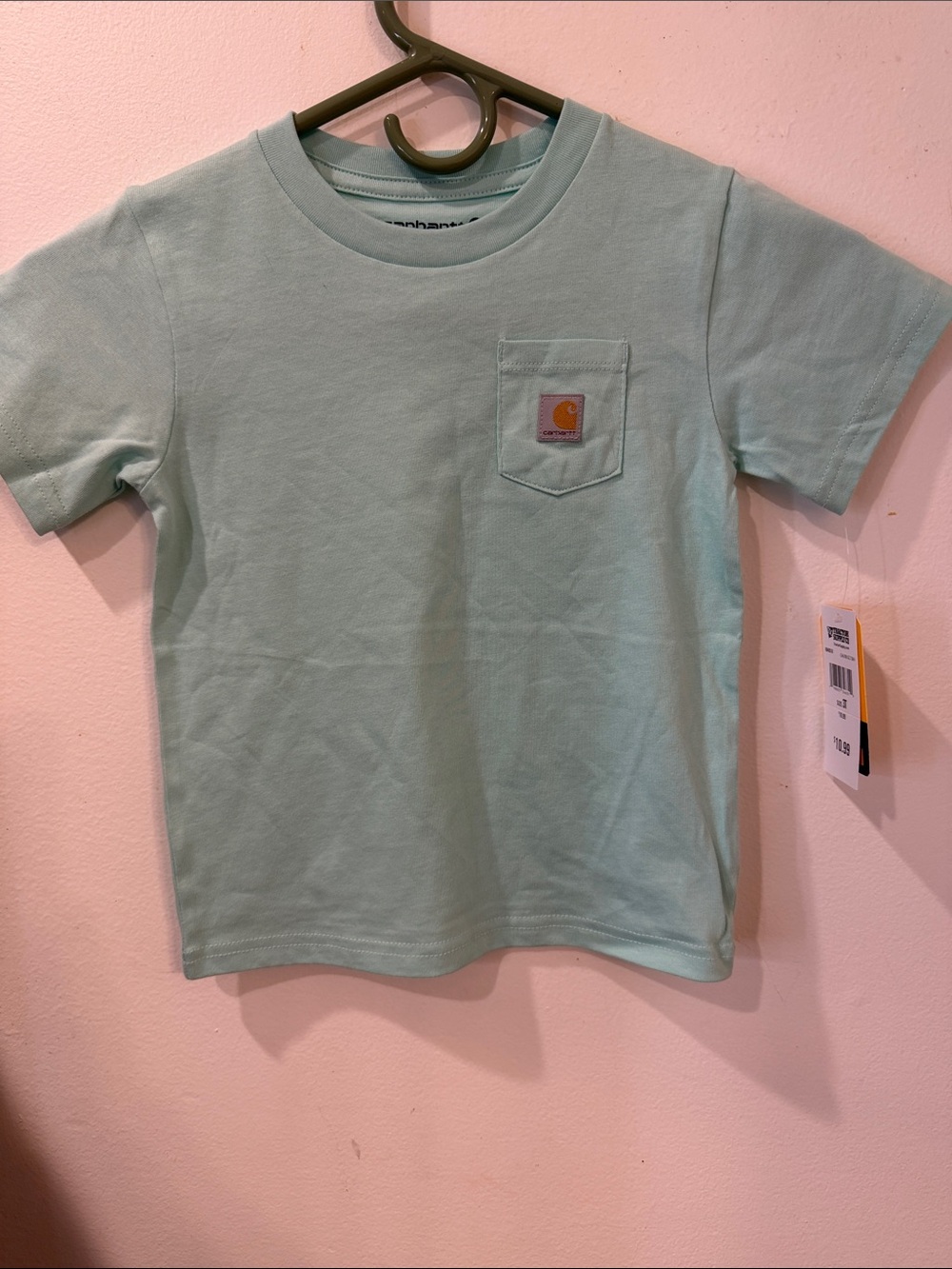 Carhartt Kids Short Sleeve Pocket Tee in Mint Green